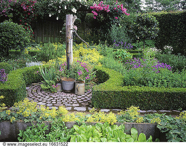 Flowered aromatics garden with water pump  Mme Deferme's garden  Belgium