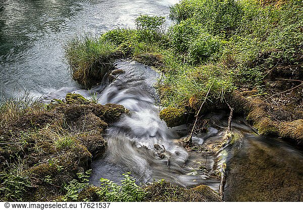 Flowing water in stream at Krka National Park  Skradinski Buk  Sibenik-Knin  Croatia
