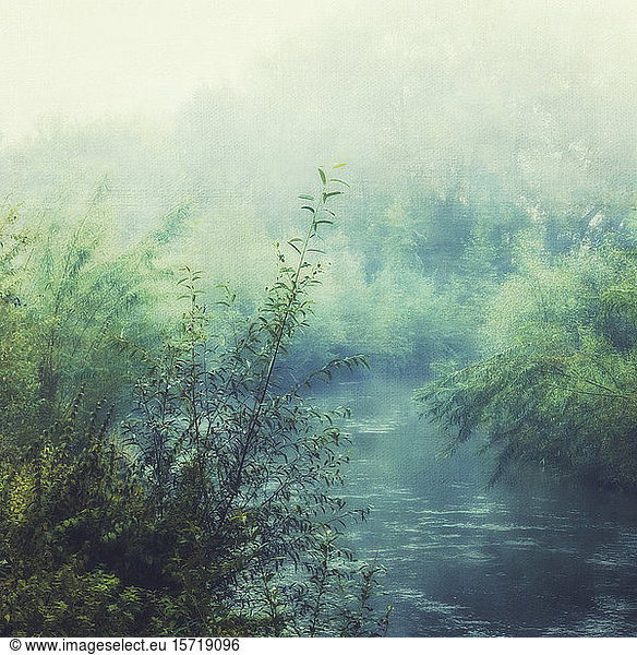 Fluss Wupper und Nebel