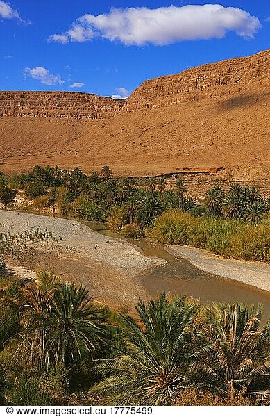 Fluss Ziz  Oued Ziz  Gorges du Ziz  Ziz-Tal  Ziz-Schluchten  Oase  Region Tafilalet  Nordafrika  Marokko  Afrika