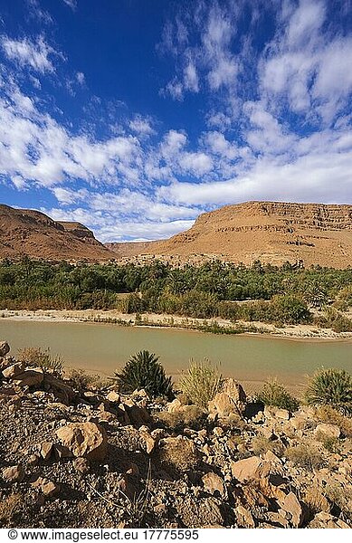 Fluss Ziz  Oued Ziz  Gorges du Ziz  Ziz-Tal  Ziz-Schluchten  Region Tafilalet  Nordafrika  Marokko  Afrika