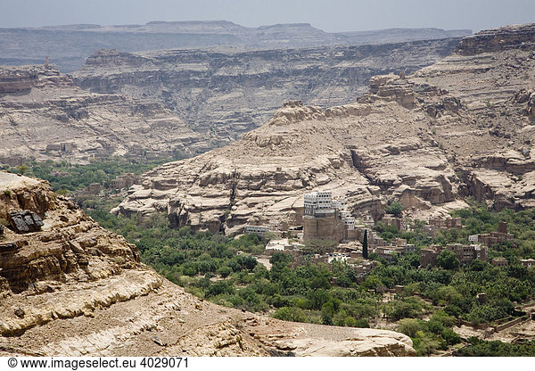 Flussoase  Wadi Dhar  Jemen  Naher Osten