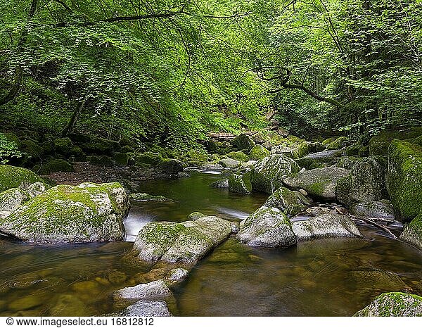 Flusstal der Wolfsteiner Ohe (Buchberger Leite) im Bayerischen Wald. Europa  Deutschland  Bayern.