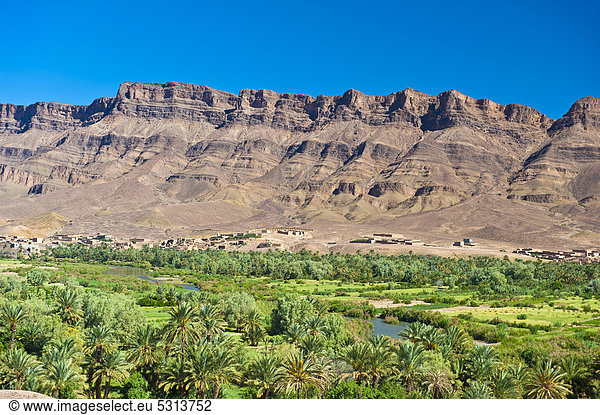Flusstal des Draa mit Palmenhain und kleinen Ortschaften und dem Djebel Kissane  Agdz  Draa-Tal  Südmarokko  Marokko  Afrika