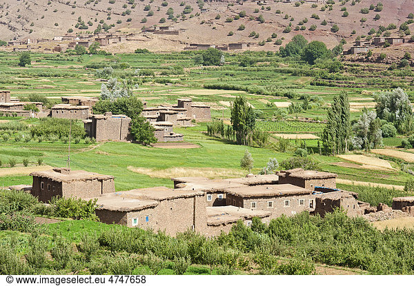 Flusstal mit Feldern und einem kleinen Dorf der Berber im Hohen Atlas die Häuser sind aus Stampflehm errichtet Ait Bouguemez-Tal Hoher Atlas Marokko Afrika