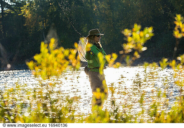 Fly fisherwoman casting & fishing on river  British Colombia  Canada.