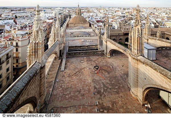Flying buttresses on the roof of Santa Maria de la Sede Cathedral  Seville  Spain