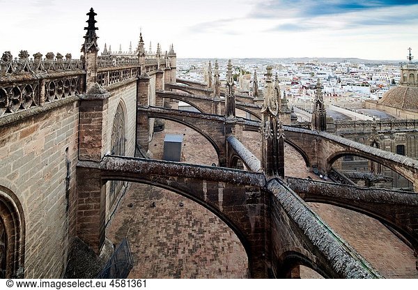 Flying buttresses on the roof of Santa Maria de la Sede Cathedral  Seville  Spain