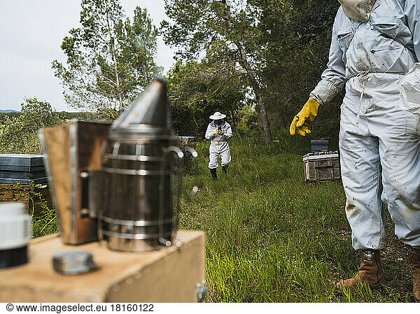 Focus selective of smoker with two beekeepers at work.