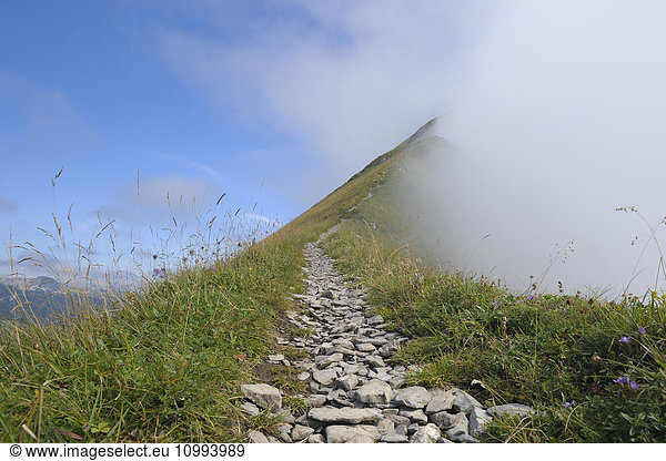Fog by Mountain Path  Augstmatthorn  Canton of Berne  Switzerland