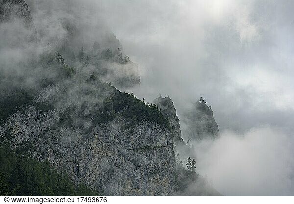 Fog drifts over the mountain flanks above the Gnanitz valley  Tauplitz  Styria  Austria  Europe