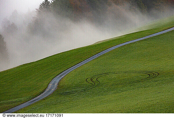 Fog floating over empty hillside road