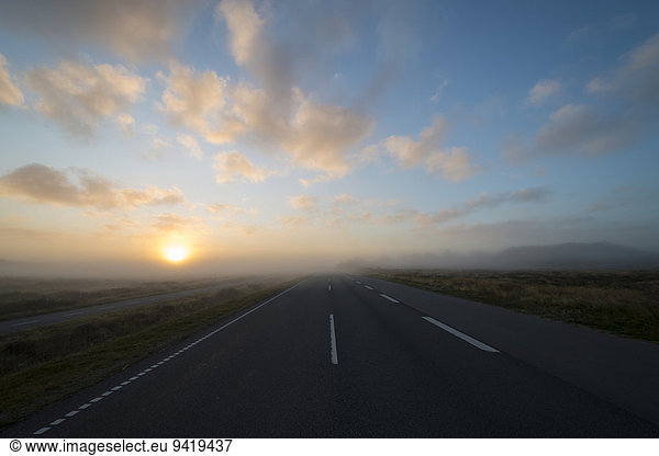Fog over a country road at sunrise  Henne  Region of Southern Denmark  Denmark