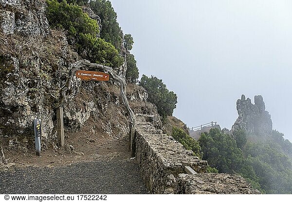 Fog over Camino Jinama hiking trail  El Hierro  Canary Islands  Spain  Europe