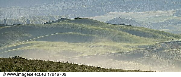 Foggy atmosphere in hilly landscape  province of Siena  Tuscany  Italy  Europe