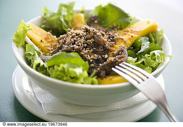 Food from Brazil. Salada de pato (arugula  lettuce  grilled mango and shredded duck)