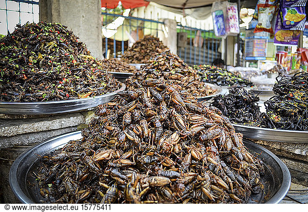 Food market in Cambodia  close up of trays with heaps of a selection of deep fried exotic insects.