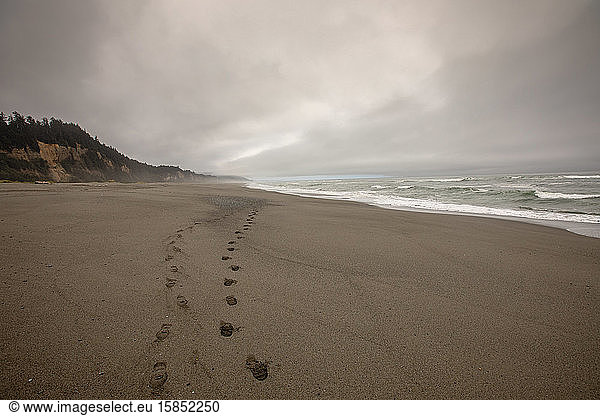 Foot prints along in the sand  Gold Bluffs Beach State Park