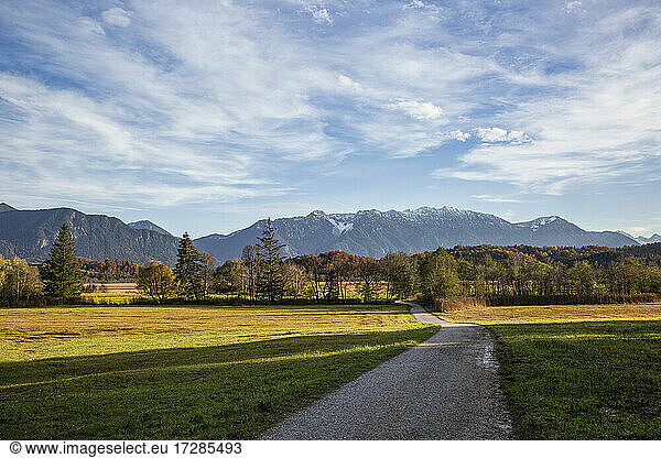 Footpath amidst grass at Murnauer Moos  Garmisch-partenkirchen  Bavaria  Germany