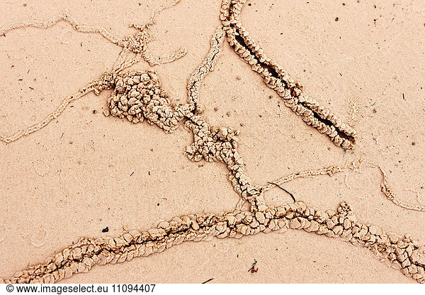 Footprint on beach  Canaima National Park  Venezuela