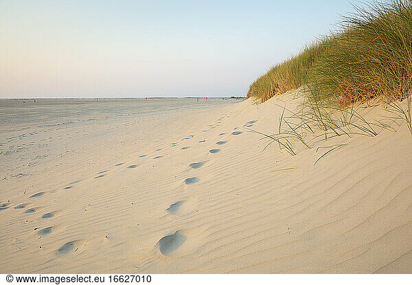 Footprints by marram grass on sand dune at beach against sky during sunset