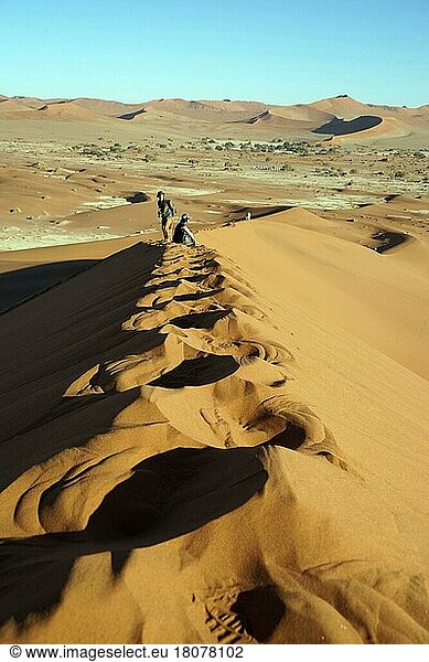 Footprints  hikers on dune  Sossusvlei  Namib  Namib-Naukluft National Park  Namibia  Namib Desert Sea  Republic of Namibia  Africa
