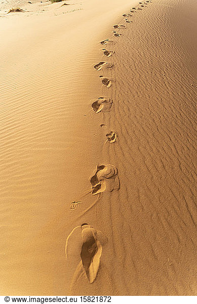 Footprints in sand dunes in Sahara Desert  Merzouga  Morocco