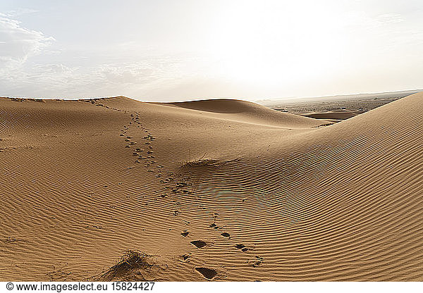 Footprints in sand dunes in Sahara Desert  Merzouga  Morocco