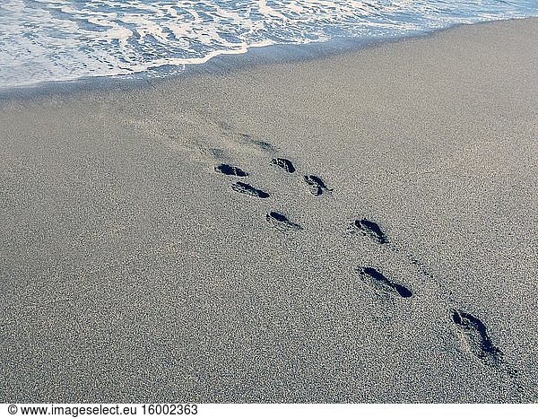 Footprints on beach leading to water.
