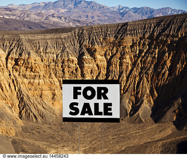 For Sale Sign in Desert Landscape