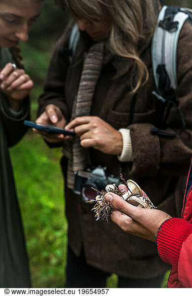Foragers Using Technology To Identify Mushrooms In Scandinavia
