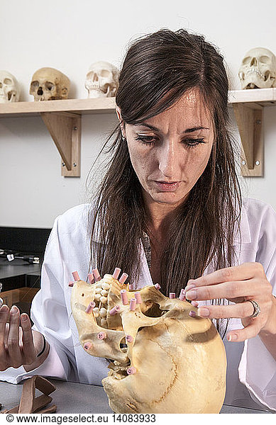 Forensic Anthropology  3D Facial Reconstruction