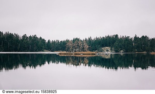forest and island in Sweden reflecting in the sea