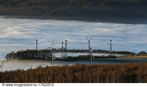 Forest and wind turbines rising from cloud cover  evening light  Köterberg  Lügde  Weserbergland  North Rhine-Westphalia  Germany  Europe