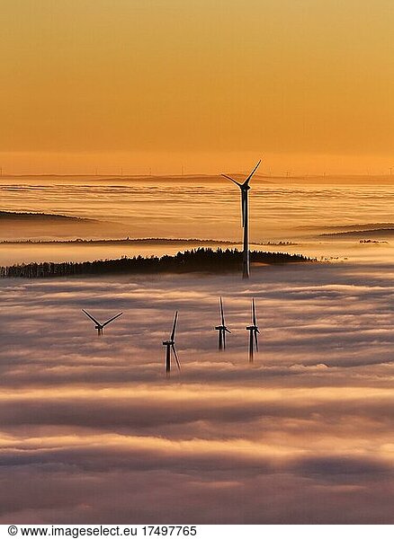 Forest and wind turbines rising from cloud cover  silhouettes at sunset  Köterberg  Lügde  Weserbergland  North Rhine-Westphalia  Germany  Europe