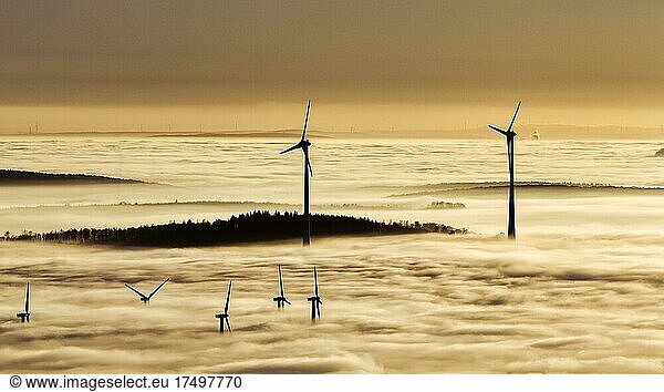Forest and wind turbines rising from cloud cover  silhouettes at sunset  Köterberg  Lügde  Weserbergland  North Rhine-Westphalia  Germany  Europe