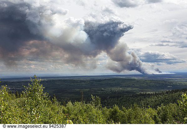 Forest fire after lightning stroke  south of Fairbanks  Alaska  United States