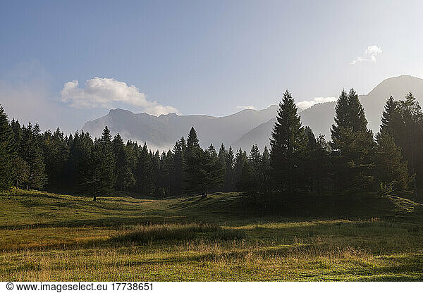 Forest meadow in Karwendel mountains at dawn