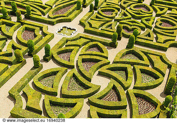 Formal gardens  Chateau of Villandry  Indre et Loire  Loire Valley  France