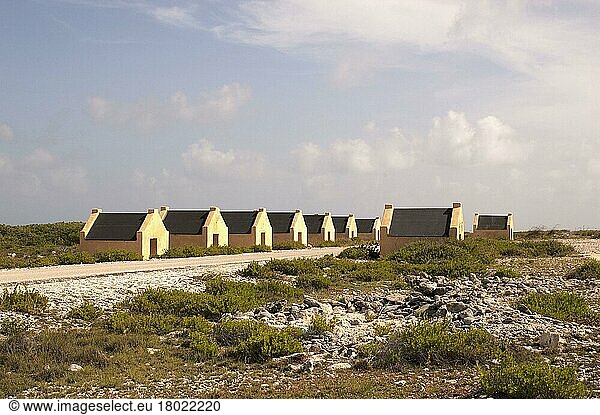 Former slave quarters for coastal salt workers  Rincon  Bonaire  Leeward Island  Lesser Antilles  Netherlands Antilles