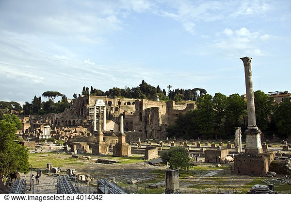 Foro di Cesare Rom  Forum Romanum  Via dei Fori Imperiali  Rom  Latium  Italien  Europa