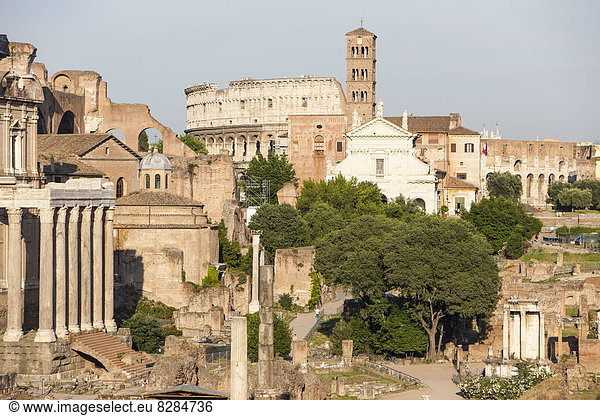 Forum Romanum  UNESCO-Weltkulturerbe  Rom  Latium  Italien  Europa