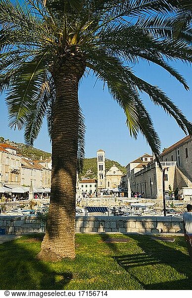 Foto der St.-Stephens-Kathedrale auf dem St.-Stephens-Platz im Stadtzentrum von Hvar  Insel Hvar  Dalmatien  Kroatien. Dies ist ein Foto der St. Stephens Kathedrale auf dem St. Stephens Platz in der Stadt Hvar auf der Insel Hvar  Kroatien.