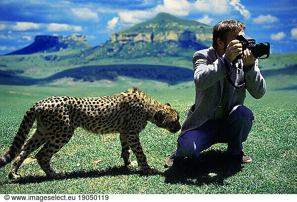 Fotosafari with Cheetah