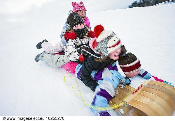 Four children ride on a wooden toboggan down a snowy slope in winter; Alberta  Canada