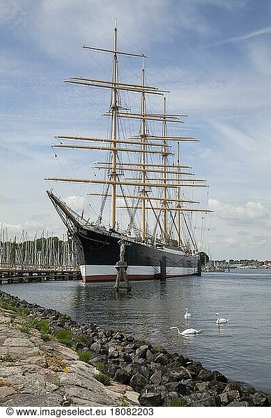 Four-masted barque Passat  sailing ship  Priwall  Travemünde  Lübeck Bay  Schleswig-Holstein  Germany  Europe