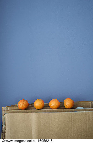 Four oranges on cardboard against blue wall