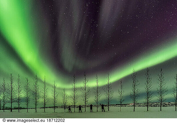 Four people standing under the northern lights in Iceland