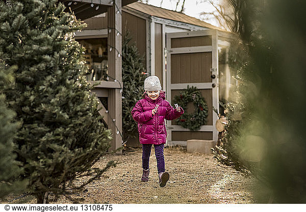 Fröhliches Mädchen hält Zuckerstangen und geht im Hof an Weihnachtsbäumen vorbei
