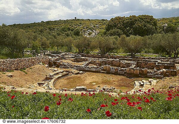 Frühling auf Kreta  Insel Kreta  Griechenland  Europa